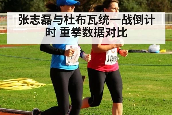 张志磊与杜布瓦统一战倒计时 重拳数据对比
